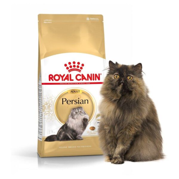 Royal Canin Adult Cat Food Persian for Long Hair Health 2kg